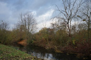 Kasım ayında Wuhle Nehri 'nin çevresindeki muhteşem manzara. Marzahn-Hellersdorf, Berlin, Almanya