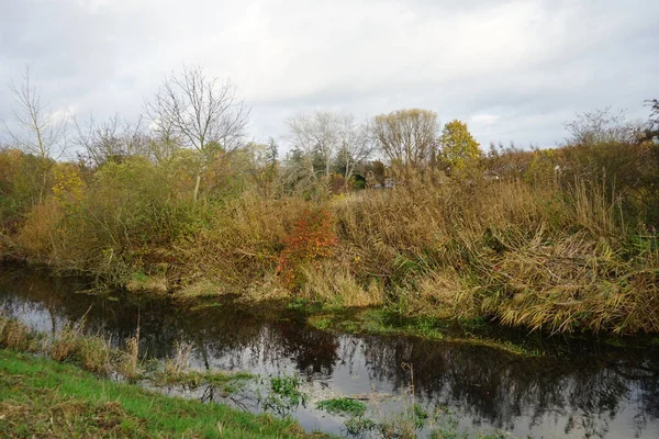 Superbe Paysage Autour Rivière Wuhle Novembre Marzahn Hellersdorf Berlin Allemagne — Photo