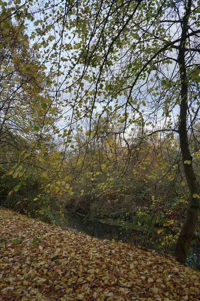 Πανέμορφο Τοπίο Γύρω Από Τον Ποταμό Wuhle Νοέμβριο Marzahn Hellersdorf — Φωτογραφία Αρχείου