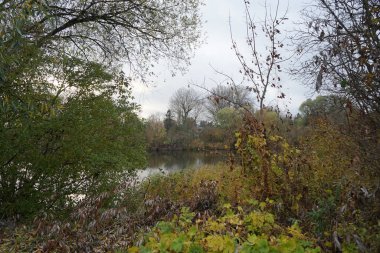 Kasım ayında Wuhlesee Gölü ile muhteşem bir manzara. Marzahn-Hellersdorf, Berlin, Almanya 