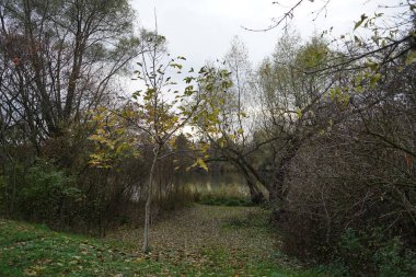 Kasım ayında Wuhlesee Gölü ile muhteşem bir manzara. Marzahn-Hellersdorf, Berlin, Almanya 