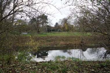 Kasım ayında Wuhle Nehri 'nin çevresindeki muhteşem manzara. Marzahn-Hellersdorf, Berlin, Almanya