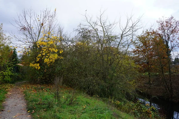 Hermoso Paisaje Alrededor Del Río Wuhle Noviembre Marzahn Hellersdorf Berlín — Foto de Stock