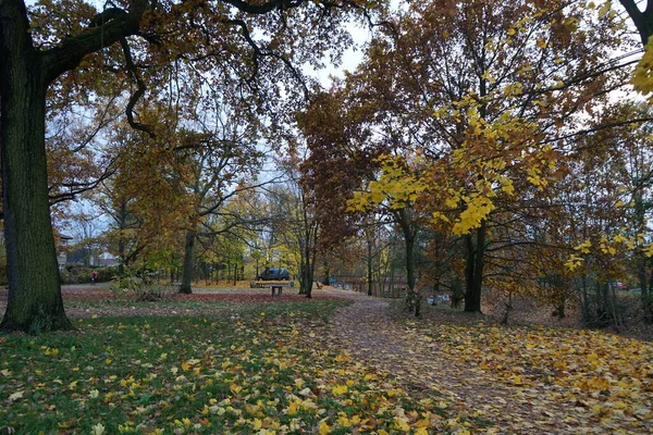 Wspaniała Sceneria Wokół Rzeki Wuhle Listopadzie Marzahn Hellersdorf Berlin Niemcy — Zdjęcie stockowe