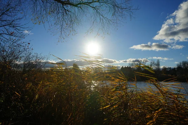 Kasım Ayında Wuhlesee Gölü Üzerinde Gün Batımı Sonbaharda Güzel Bir — Stok fotoğraf