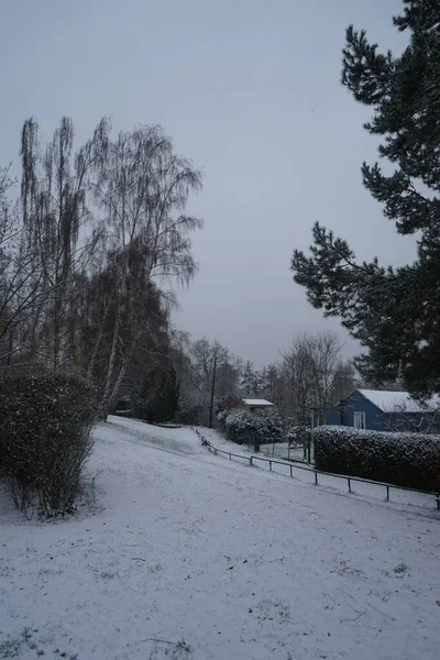 Garden Houses Snow Winter Berlin Germany — Stockfoto