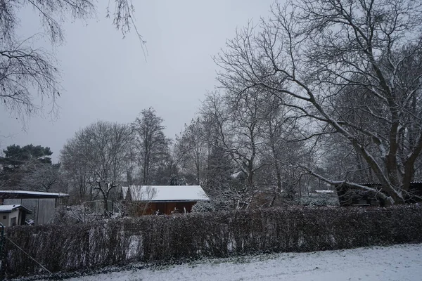 Garden Houses Snow Winter Berlin Germany — Zdjęcie stockowe