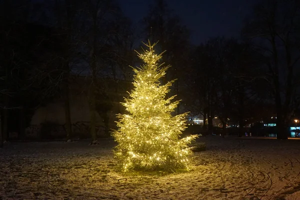 A lit Christmas tree in Luisenhain public park at night. Berlin, Germany