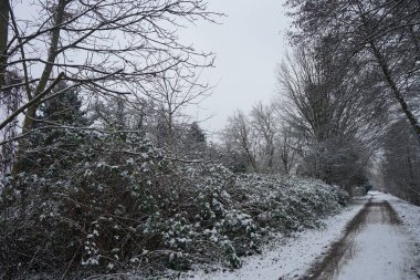 Aralık ayında Berlinliler 'in park dinlenme alanındaki güzel karlı manzara. Berlin, Almanya