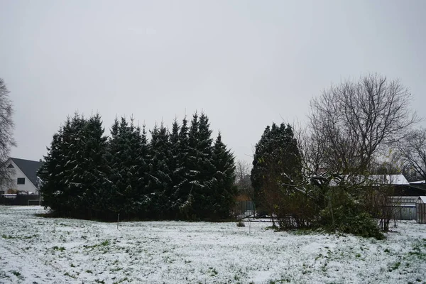 Beautiful Snowy Landscape Park Recreation Area Berliners December Berlin Germany — Zdjęcie stockowe