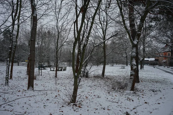 Грудні Території Парку Берлінерс Відкрився Чудовий Сніговий Ландшафт Берлін Німеччина — стокове фото