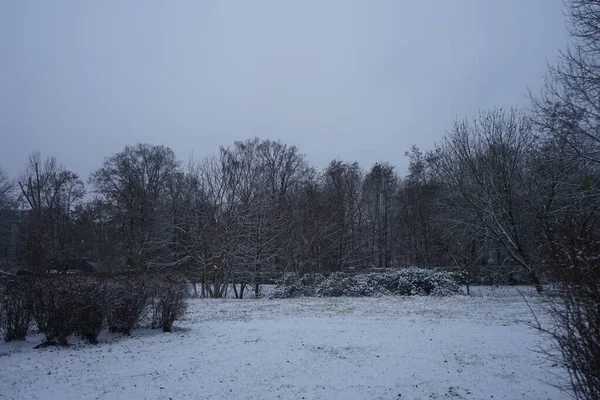 Beautiful Snowy Landscape Park Recreation Area Berliners December Berlin Germany — Stock Photo, Image