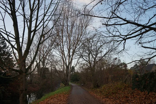 Trail Wuhle River Surrounded Scenic Vegetation November Berlin Germany — Zdjęcie stockowe