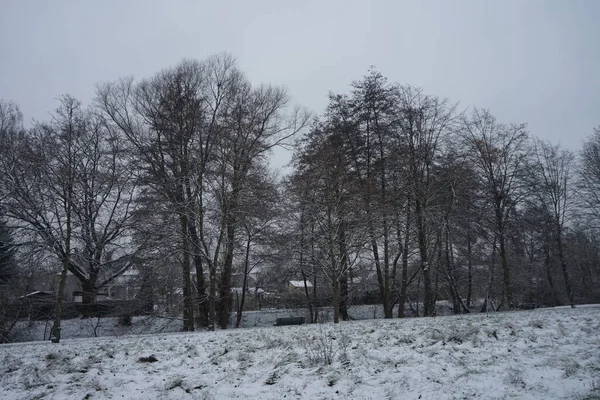 Picturesque Banks Wuhle River Snow December Berlin Germany — стокове фото