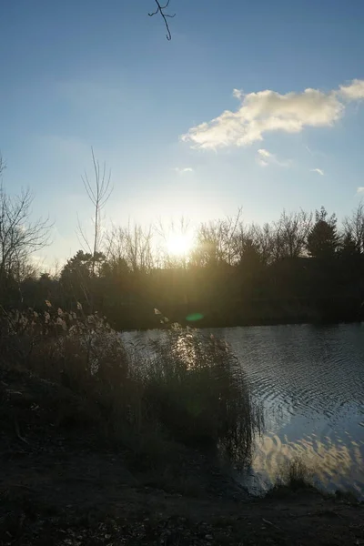 Gorgeous Sunset Wuhlesee Lake December Marzahn Hellersdorf Berlin Germany — Zdjęcie stockowe