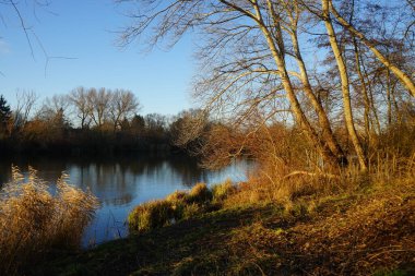 Aralık ayında Wuhlesee Gölü ile güzel bir manzara. Berlin, Almanya 