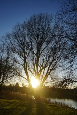 Aralık ayında Wuhlesee Gölü üzerinde muhteşem bir gün batımı. Marzahn-Hellersdorf, Berlin, Almanya