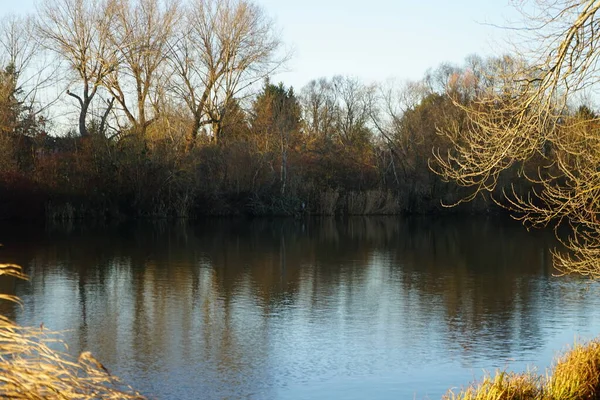 Prachtig Landschap Met Wuhlesee December Berlijn Duitsland — Stockfoto