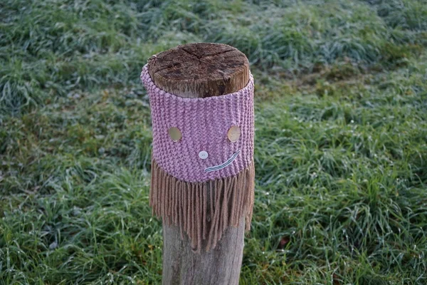 Restrictive Roadside Pole Decorated Knitwear Background Grass Hoarfrost November Berlin — Stock Fotó