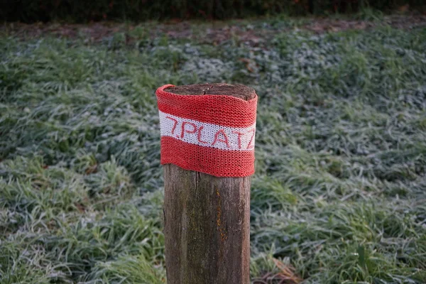 Restrictive Roadside Pole Decorated Knitwear Background Grass Hoarfrost November Berlin — Zdjęcie stockowe