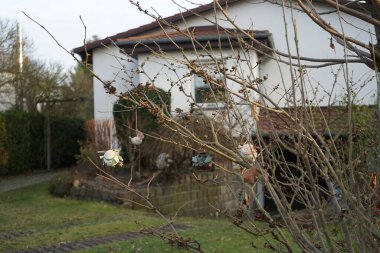 Bahçedeki bitkiler için dekorasyon. Berlin, Almanya