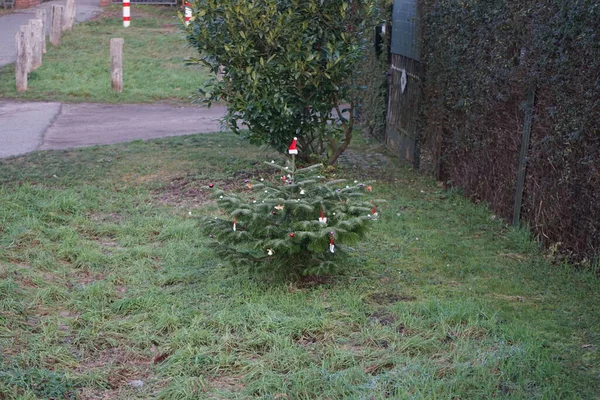 Christmas Decorations Garden December Berlin Germany — Stockfoto