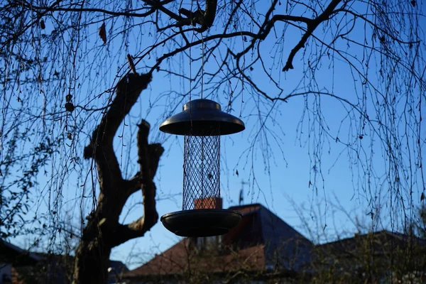Een Vogelvoeder Hangt Winter Aan Een Boom Tuin Berlijn Duitsland — Stockfoto