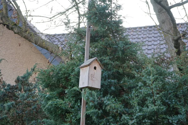 Wooden Birdhouse Pole Garden December Berlin Germany — 图库照片