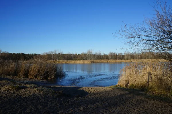 Winter Landscape Wonderful Vegetation Recreation Area Berliners Ice Covered Lake — Photo