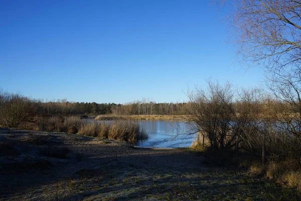 Winter landscape with wonderful vegetation in the recreation area of Berliners at the ice-covered Lake Habermannsee in December. Kaulsdorfer Baggersee, Marzahn-Hellersdorf, Berlin, Germany