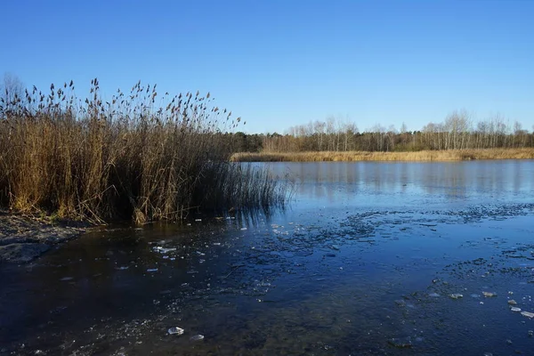 Ice Habermannsee Lake December Kaulsdorfer Baggersee Marzahn Hellersdorf Berlin Germany — Φωτογραφία Αρχείου