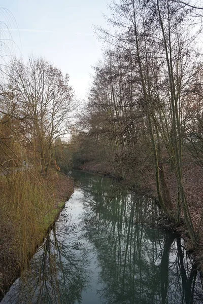 Shallow River Wuhle Surroundings Beautiful Vegetation December Berlin Germany — Foto Stock