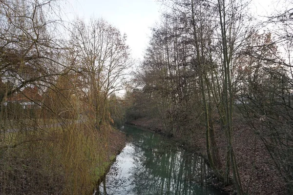 Shallow River Wuhle Surroundings Beautiful Vegetation December Berlin Germany — Stok fotoğraf