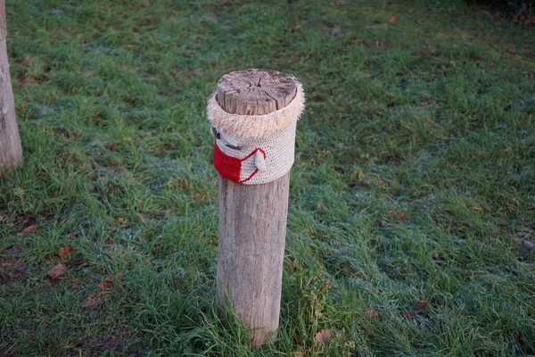 Restrictive Roadside Pole Decorated Knitwear Background Grass Hoarfrost December Berlin — Zdjęcie stockowe