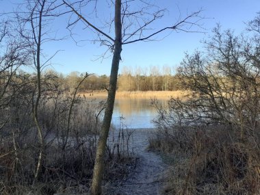 Winter landscape with wonderful vegetation in the recreation area of Berliners at the ice-covered Lake Habermannsee in December. Kaulsdorfer Baggersee, Marzahn-Hellersdorf, Berlin, Germany