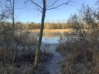 Winter landscape with wonderful vegetation in the recreation area of Berliners at the ice-covered Lake Habermannsee in December. Kaulsdorfer Baggersee, Marzahn-Hellersdorf, Berlin, Germany