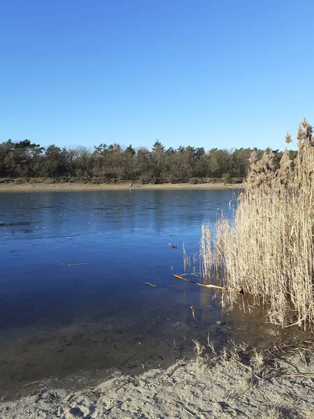 Ice Habermannsee Lake December Kaulsdorfer Baggersee Marzahn Hellersdorf Berlin Germany — Φωτογραφία Αρχείου