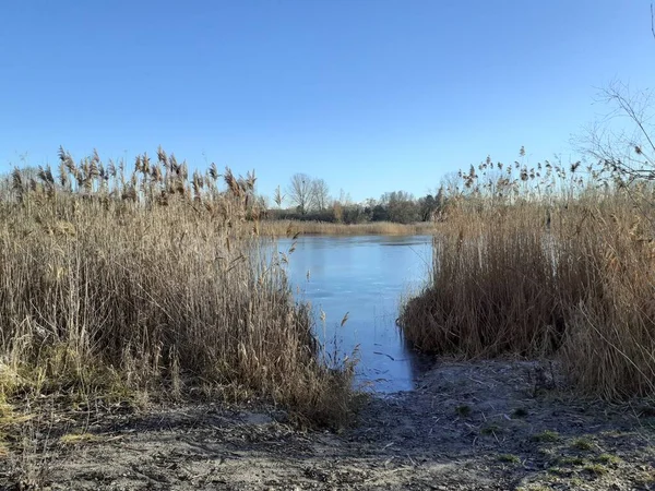 Ice Habermannsee Lake December Kaulsdorfer Baggersee Marzahn Hellersdorf Berlin Germany — 스톡 사진