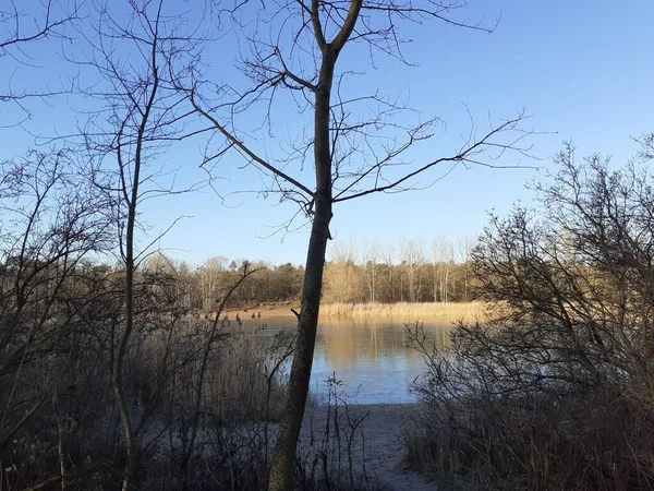 Winter Landscape Wonderful Vegetation Recreation Area Berliners Ice Covered Lake — Foto de Stock