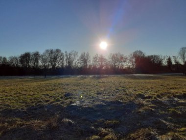 Low-rise winter sun over beautiful vegetation in a Berliner's recreation area in December. Berlin, Germany