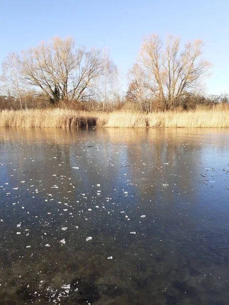 Ice Habermannsee Lake December Kaulsdorfer Baggersee Marzahn Hellersdorf Berlin Germany — Stock fotografie