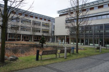 Decorated outdoor Christmas tree in winter. Berlin, Germany 