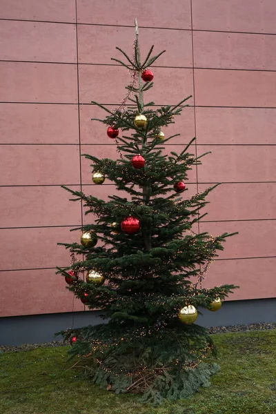 Διακοσμημένο Υπαίθριο Χριστουγεννιάτικο Δέντρο Χειμώνα Βερολίνο Γερμανία — Φωτογραφία Αρχείου
