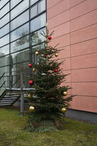 Decorated outdoor Christmas tree in winter. Berlin, Germany