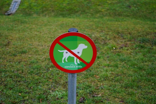 Sign Prohibiting Walking Dogs Recreation Area Berliners Berlin Germany — Stockfoto