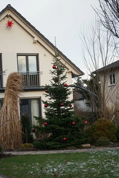 Decorated Outdoor Christmas Tree Winter Berlin Germany — Stock Fotó