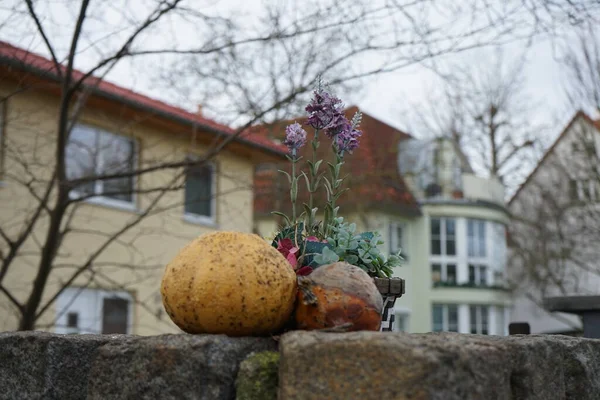 Autumn Composition Decorative Pumpkins Flower Pots Decoration Garden Berlin Germany — Foto de Stock