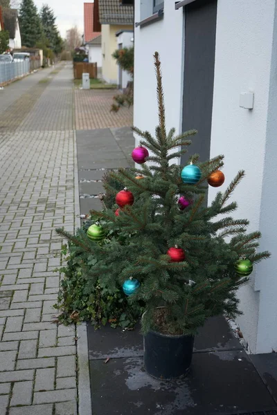 Decorated Outdoor Christmas Tree Winter Berlin Germany —  Fotos de Stock