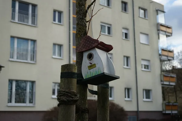 Birdhouse Recreation Area Winter Berlin Germany — Fotografia de Stock