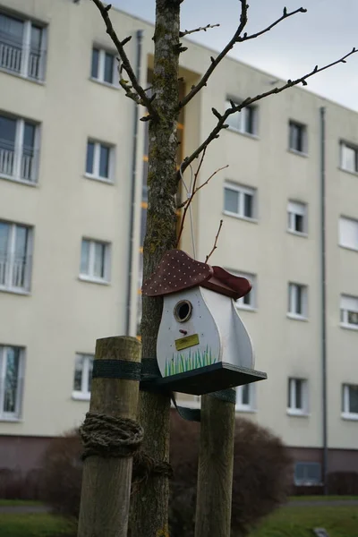 Birdhouse Recreation Area Winter Berlin Germany — Fotografia de Stock